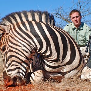 Hunting Burchell's Plain Zebra