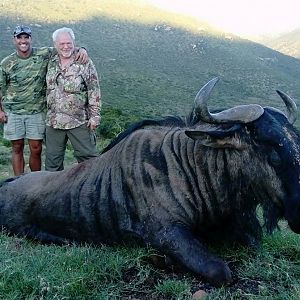 Hunting Blue Wildebeest in South Africa