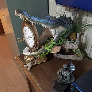 Alligator Taxidermy with clock