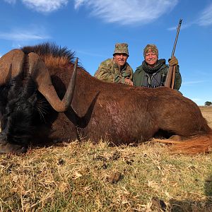 South Africa Hunting Black Wildebeest