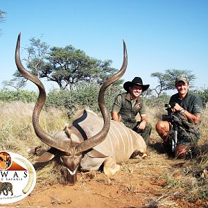 61" Inch Free-Range Kudu bull hunted in Namibia