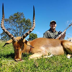 South Africa Hunt Impala