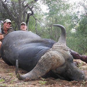 Hunting Buffalo in South Africa