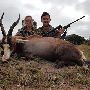 Blesbok