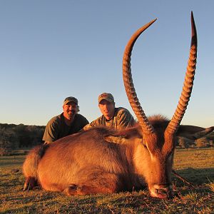 Waterbuck Hunting South Africa