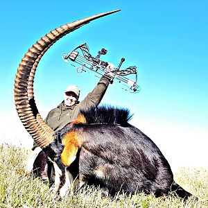 South Africa Bow Hunt Sable Antelope Bow Hunt