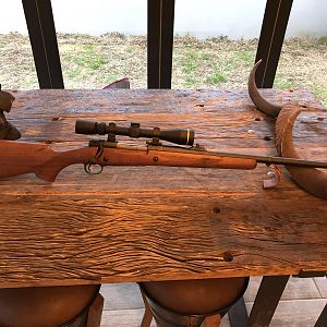 M70 Safari Express 375H&H Rifle