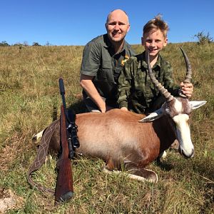 South Africa Hunting Blesbok