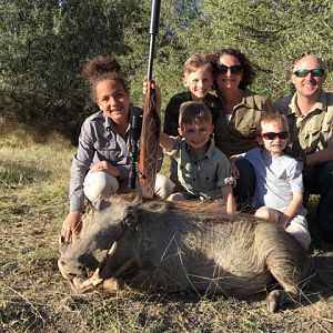 South Africa Hunting Warthog