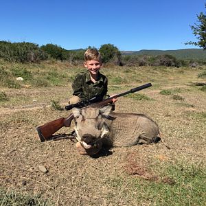 Warthog Hunt South Africa