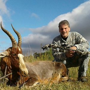 South Africa Hunting Blesbok