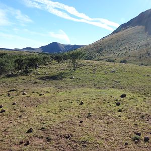 South Africa Landscape