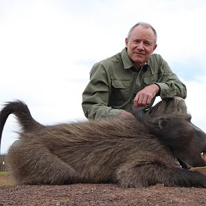 Hunt Baboon South Africa