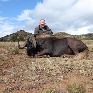 South Africa Hunting Black Wildebeest