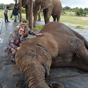 Spending some time with the Elephants