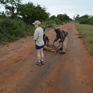 Impala Hunting South Africa