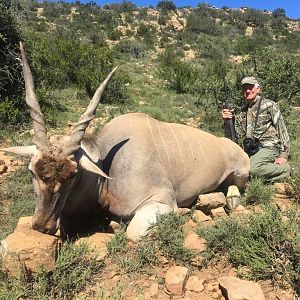 Eland Hunt in South Africa