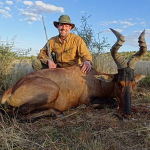 Hunt Red Hartebeest Namibia