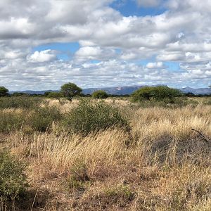 South Africa Hunt