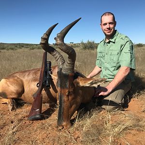 Namibia Hunt Red Hartebeest