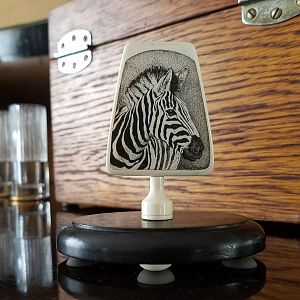 Scrimshaw Art of Zebra