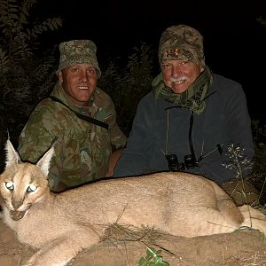 Caracal Hunting in South Africa