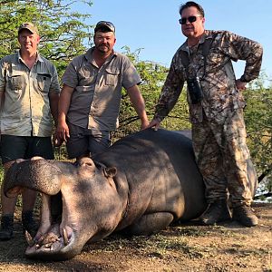 Hunting Hippo South Africa