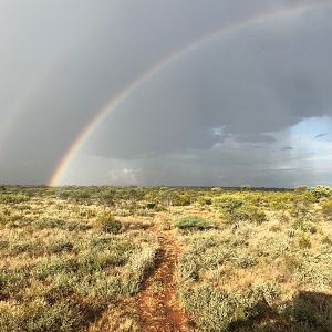 Rain over bush