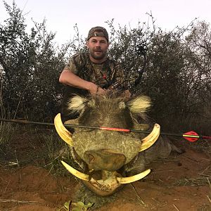 South Africa Bow Hunt Warthog