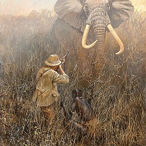 Elephant Hunt