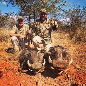 South Africa Hunting Warthog