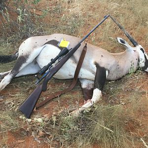 South Africa Hunt Gemsbok