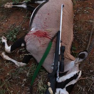 Hunt Gemsbok South Africa