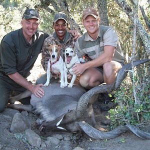 South Africa Hunt Kudu