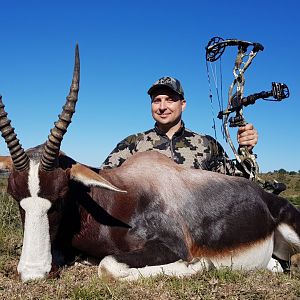 Bontebok Bow Hunting in South Africa