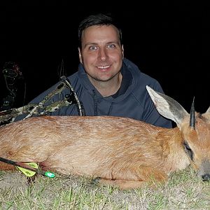 South Africa Bow Hunt Cape Grysbuck