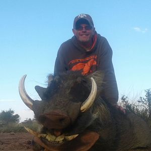 Hunt Warthog in South Africa