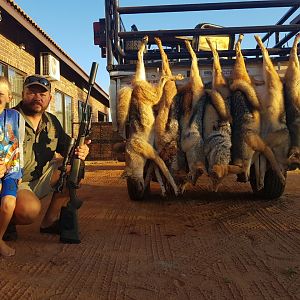 South Africa Hunt Jackal