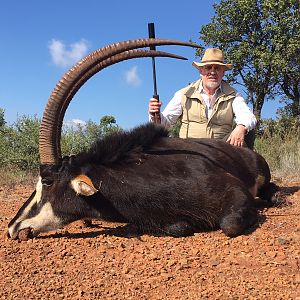 Sable Antelope Hunting South Africa