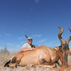 Hunting Red Hartebeest in South Africa