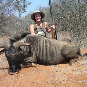 South Africa Hunting Blue Wildebeest