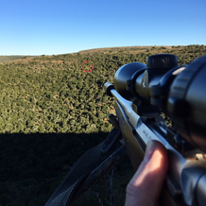 Hunting in South Africa