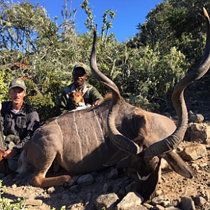 Kudu Hunt South Africa