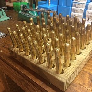 .470 Ammo Loaded