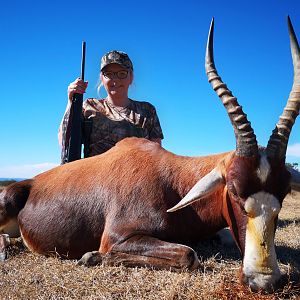 Hunting Blesbok in South Africa