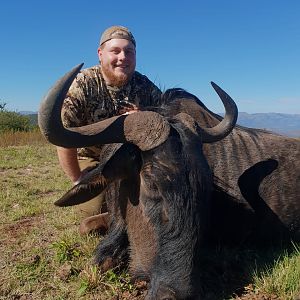 South Africa Hunt Blue Wildebeest