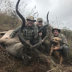 Hunting Kudu in South Africa