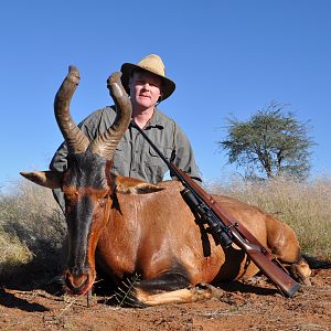 Red Hartebeest Hunting Namibia