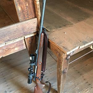 Model 70 Safari in 375H&H Rifle