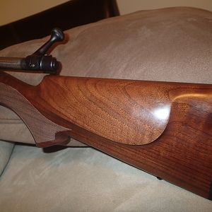 Model 70 Safari in 375H&H Rifle